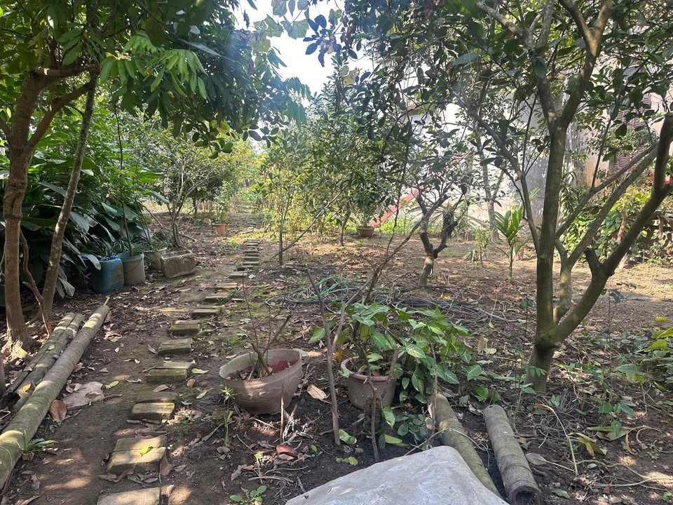 Đất nền Hiệp Cường Kim Động 1500m² giá 7.5 tỷ - Cơ hội đầu tư hấp dẫn!