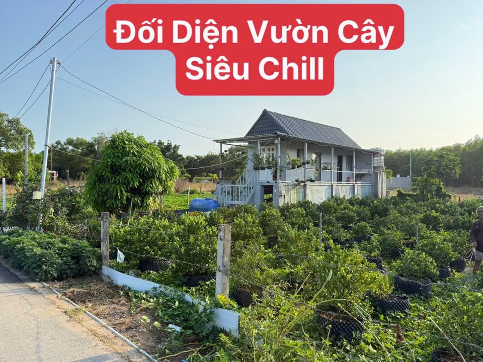 Đất nền chính chủ tại Xã Phước Hải 150m² giá chỉ từ 1.2 tỷ - Đầu tư sinh lời hấp dẫn!