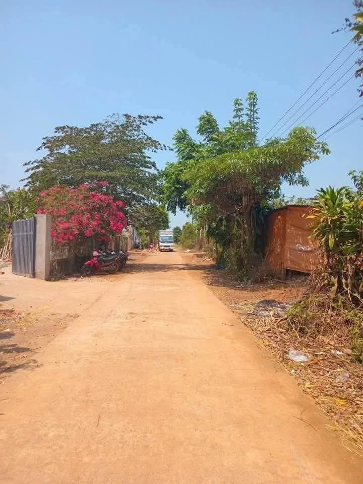 Đất nền xã Hra, huyện Mang Yang, 295m² - Cơ hội đầu tư tuyệt vời!