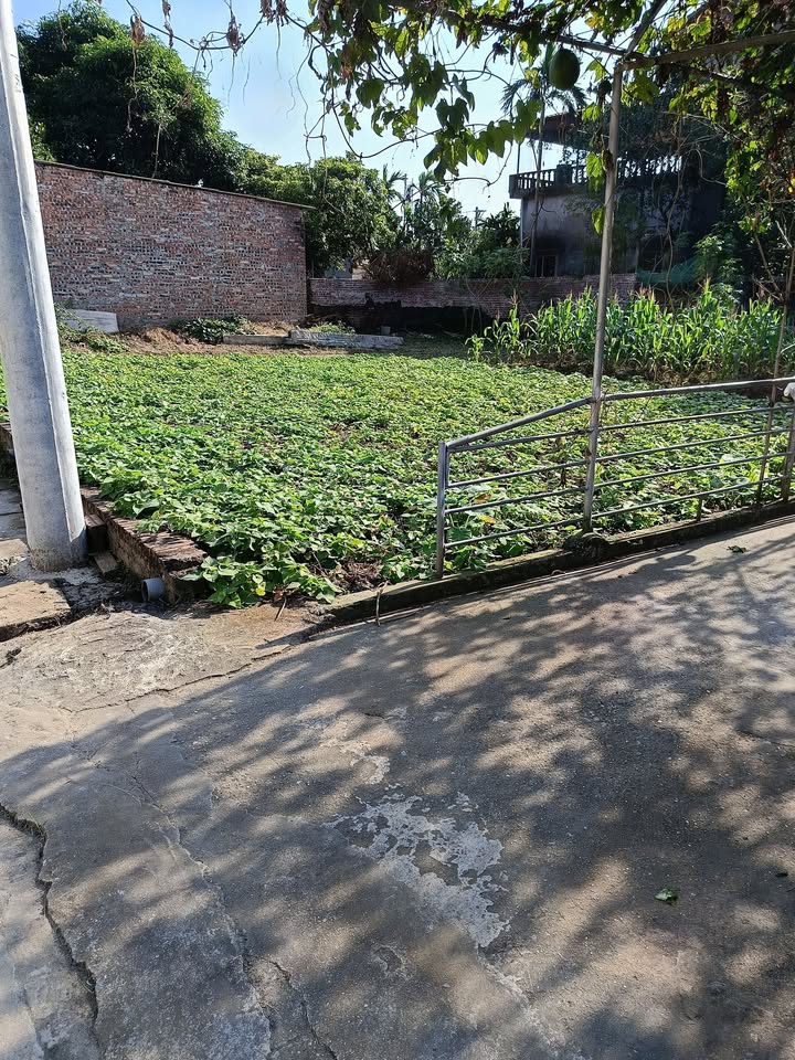 Đất nền xã Đại Xuyên, 400m² giá 1.6 tỷ - Đầu tư sinh lời tốt!