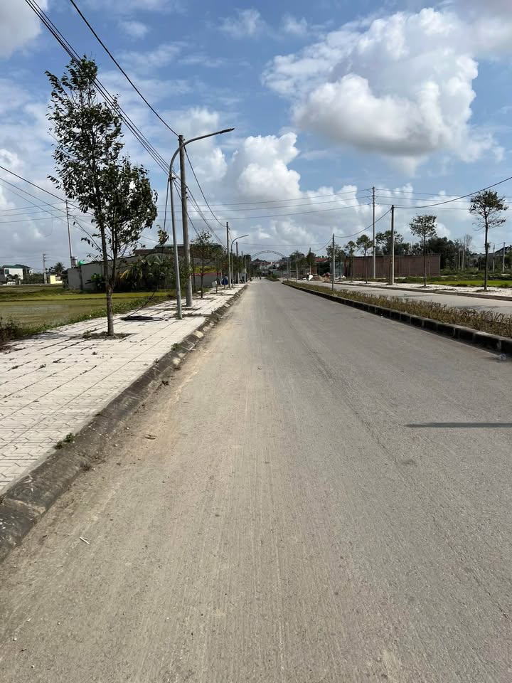 Lô đất thổ cư 125m² tại trục đường đôi MB541, Đông Quang - Đầu tư sinh lời ngay!