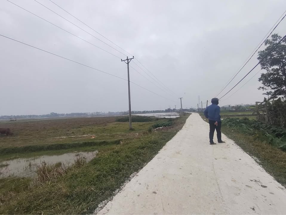 Đất vườn Tân Phong, Quảng Xương 1000m² giá 2.5 tỷ - Tiềm năng phát triển lớn