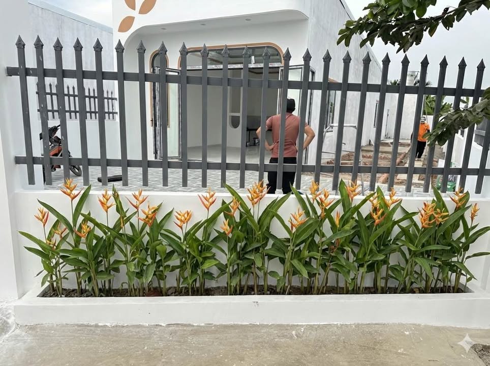 Bán gấp FrontHouse tại Thanh Bình, Đồng Tháp 300m² giá 1.99 tỷ - Mặt tiền kinh doanh