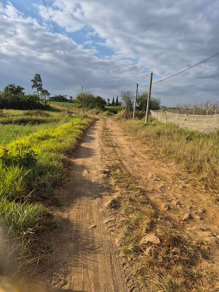 Đất mặt tiền Đức Trọng, Lâm Đồng 3.074m² giá 8 tỷ - Đầu tư sinh lời cao!