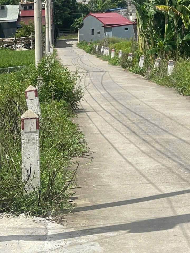 Đất nền chính chủ 60m² tại Kiến An, Hải Phòng - Giá chỉ 850 triệu