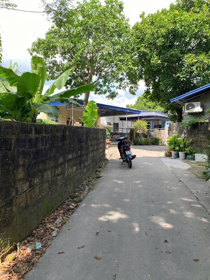 Đất nền 600m² tại xã Cổ Lũng, Huyện Phú Lương - Đầu tư sinh lời với giá 800 triệu!