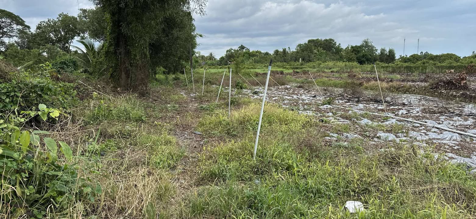 Đất nền 1041m² đường Lộ Đá, Huyện Cao Lãnh giá 520 triệu - Đầu tư sinh lời ngay!