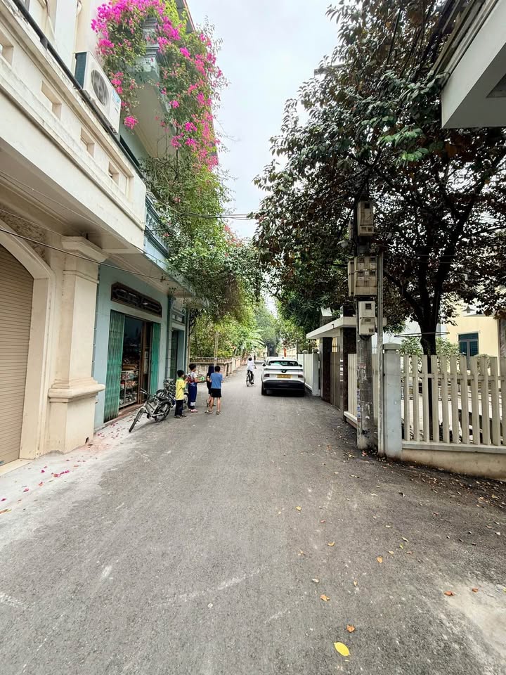 Đất nền Trưng Trắc, Văn Lâm 101m² giá 30-40 tỷ - Nở hậu cực đẹp, bán gấp!