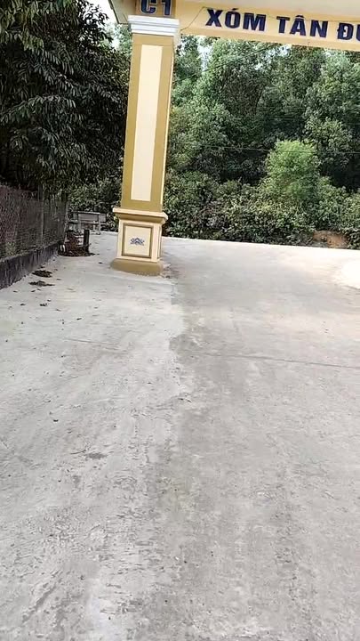 Đất thổ cư 127m² xã Cẩm Lĩnh, Ba Vì - Giá chỉ 1 tỷ, đầu tư sinh lời!