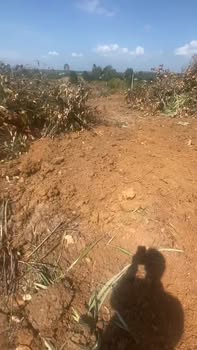 Đất nông nghiệp 1,3ha tại Thị trấn Khánh Vĩnh chỉ 2.21 tỷ - Pháp lý rõ ràng