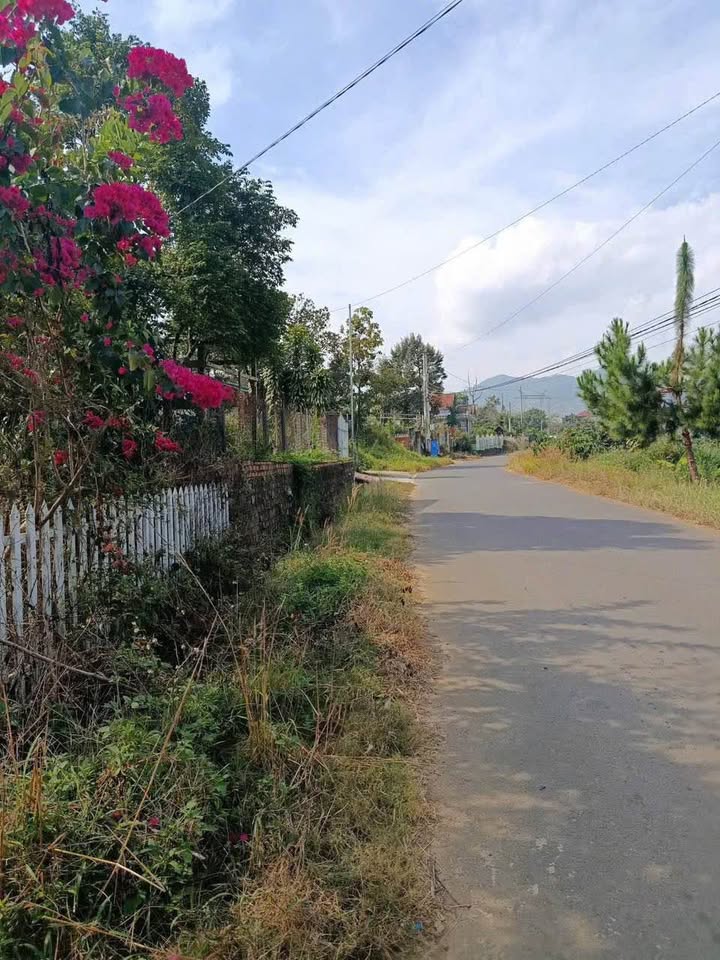 Đất nền 4418m² tại Đường Ỷ Lan, Bảo Lộc - Giá chỉ 5.5 tỷ - Tiềm năng đầu tư lớn!