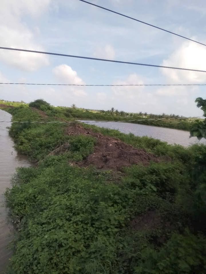 Đất Farm 16.000m² tại Ấp Xẻo Su, Sóc Trăng - Giá chỉ 784 triệu - Nhanh tay sở hữu!