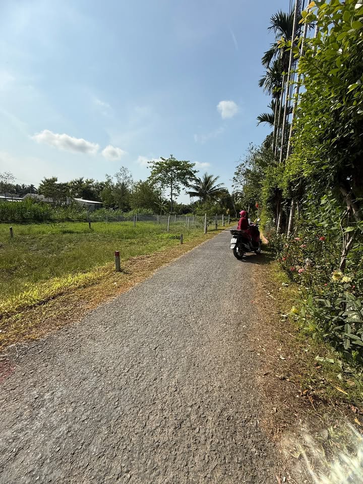 Đất nền Trà Côn - Vĩnh Long 100m² giá tốt - Gần trung tâm chợ Tam Bình!