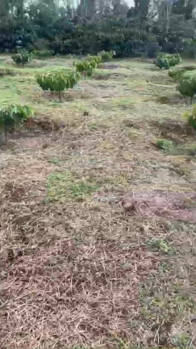 Farm 1ha tại xã Ea KPam, huyện Cư M'gar, giá 3.5 tỷ - Đất đẹp, sẵn sàng đầu tư!