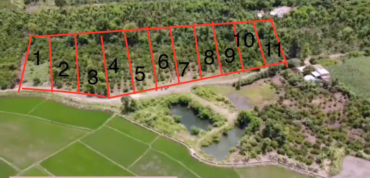 Đất nông nghiệp xã Ea M'nang 637m² giá chỉ 135 triệu - Cơ hội đầu tư tuyệt vời!