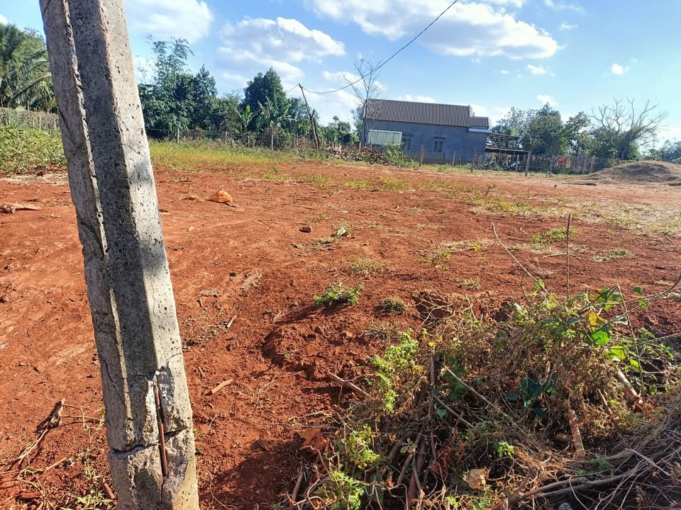 Đất nền xã Ia Hrú, Chư Pưh, Gia Lai 180m² giá 260 triệu - Đầu tư sinh lời hấp dẫn!