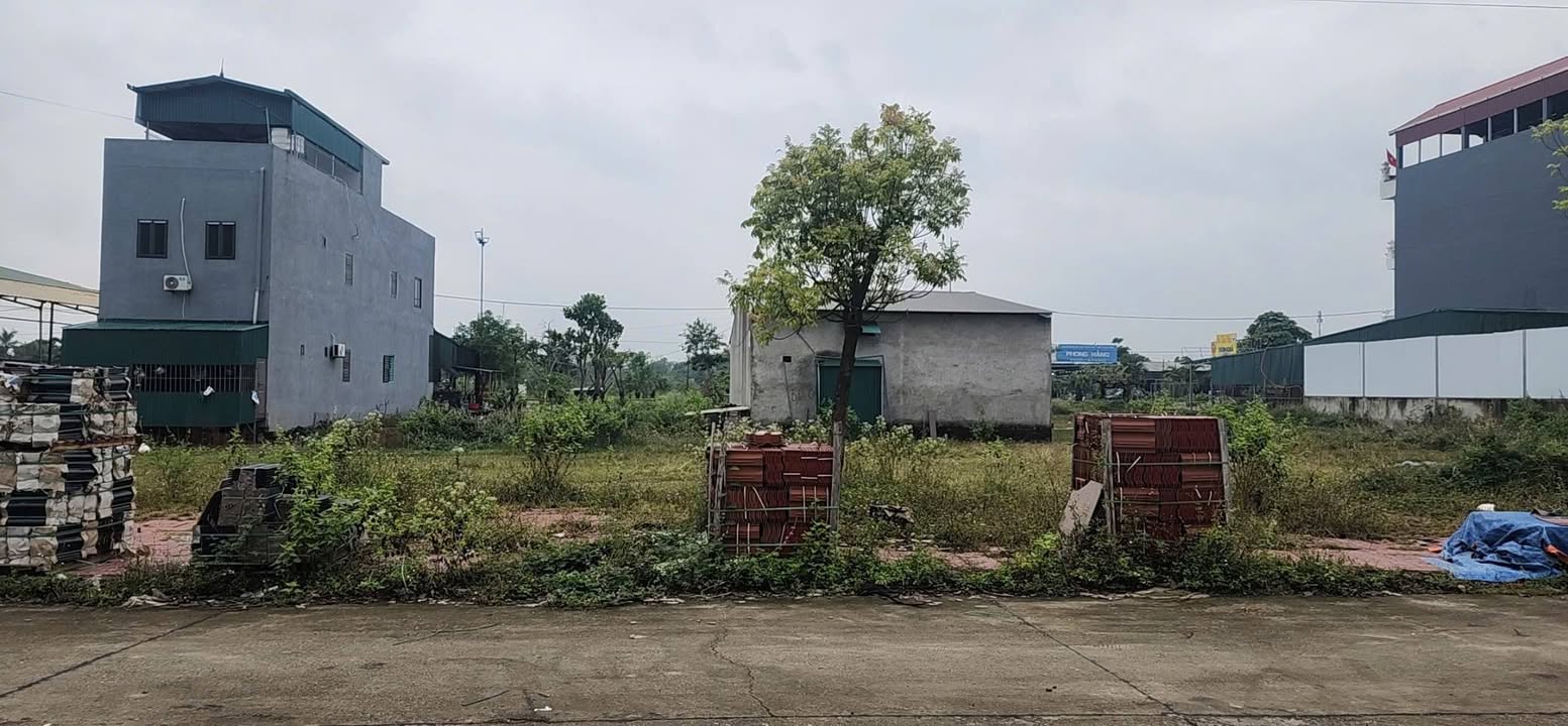 Đất nền 100m² tại Tổ dân phố Bảo Phác, xã Tam Đảo - Đầu tư tiềm năng!