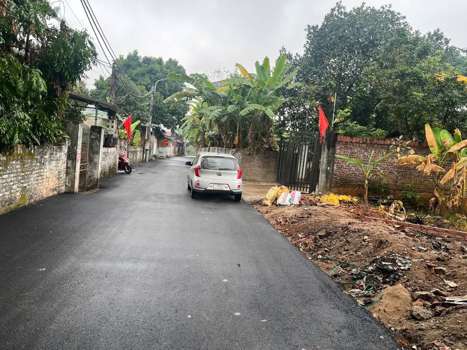 Đất nền Đạo Tú, Tam Dương 100m² giá 1.2 tỷ - Đường xe tránh nhau, tiện ích đầy đủ!