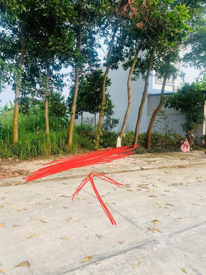 Đất nền Khu Mầm Non Kim Long B, DT310, 110m² - Giá chỉ 2.1 tỷ!