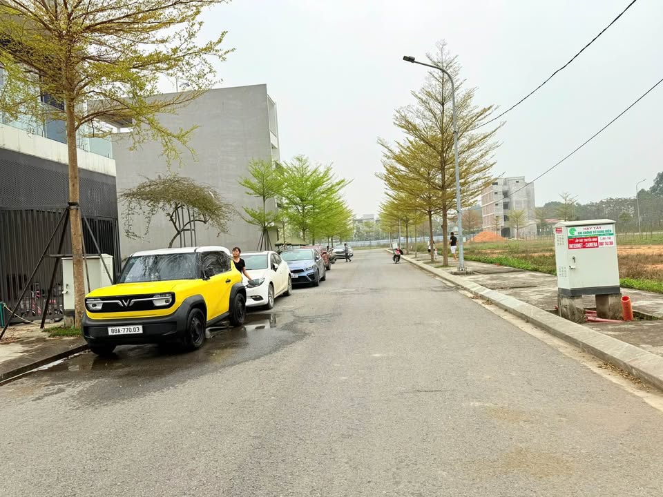 Lô đất 100m² tại Khu Đô Thị Vĩnh Yên Center - Giá 2.9 tỷ - Hướng Đông mát mẻ