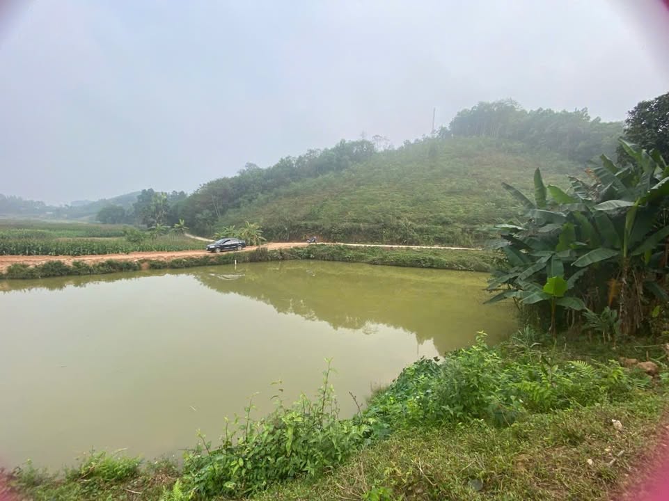 Đất nền Huyện Yên Lạc 1.600m² giá chỉ 120 triệu - Gần quốc lộ, view ao cá đẹp!