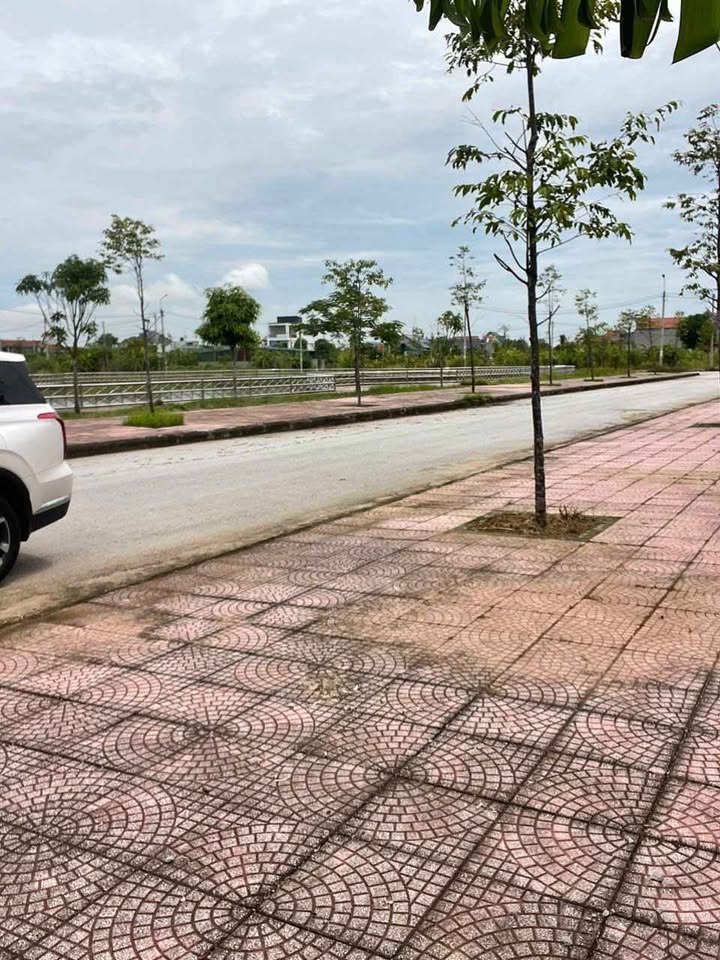 Đất nền biệt thự Đông Minh 276m² giá 2 tỷ - Sổ đỏ chính chủ, không thể bỏ lỡ!