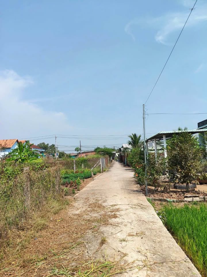 Đất vườn 540m² phường 5 TP Tân An chỉ 1.85 tỷ - Đường ô tô vào tận nơi!