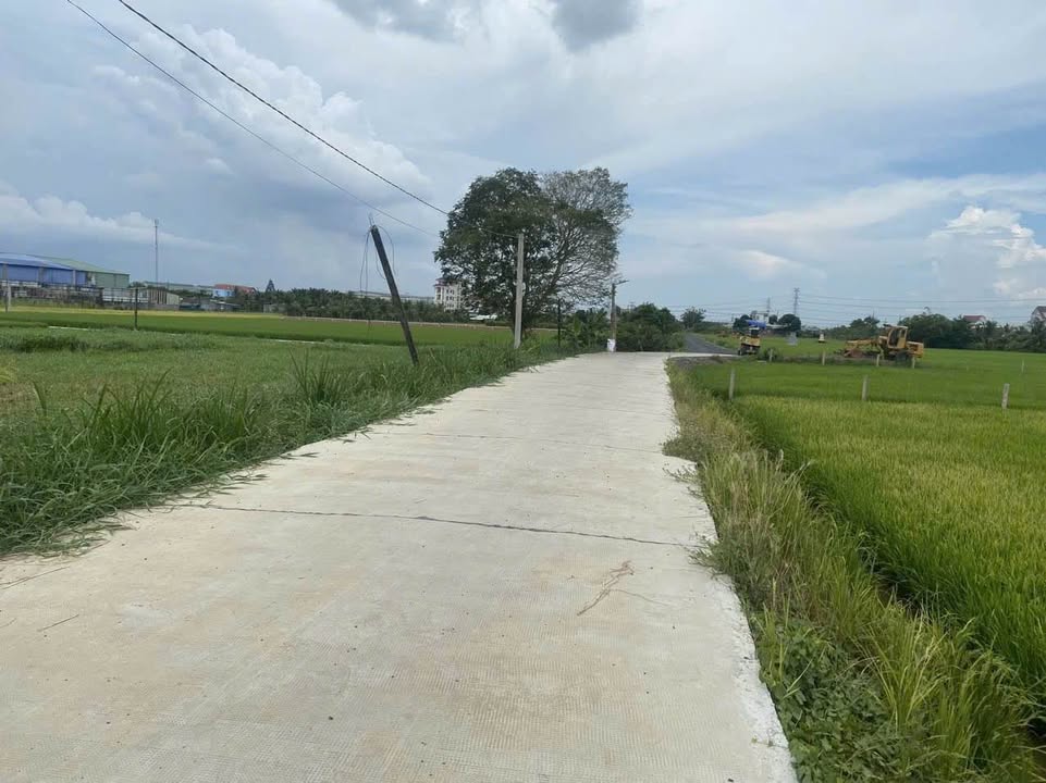 Đất nền 5500m² tại Phường Long An, Tây Ninh - Đầu tư sinh lời tốt!