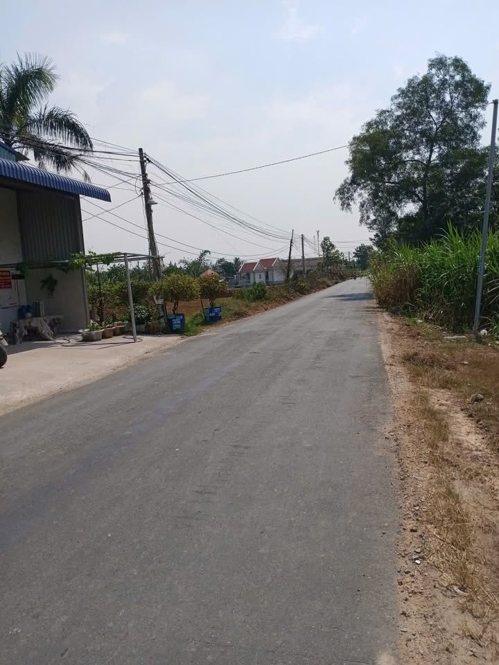 Đất nền mặt tiền đường Lục Viên, Xã Mỹ Hạnh Bắc, 160m² giá 2.2 tỷ - Cơ hội đầu tư hấp dẫn!