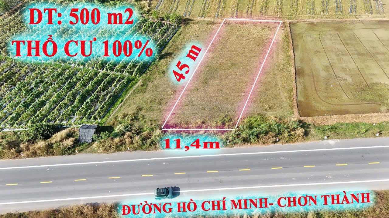 Đất thổ cư 500m² mặt tiền Đường Hồ Chí Minh - Kết nối Vành đai 3, chỉ 2xx triệu!