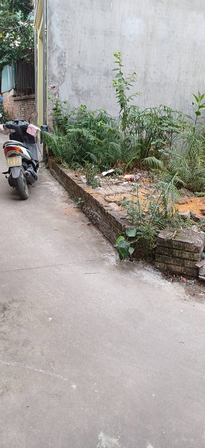 Đất nền Phường Mai Động, Quận Hoàng Mai 44m² giá 1.2 tỷ - Cơ hội đầu tư tuyệt vời!