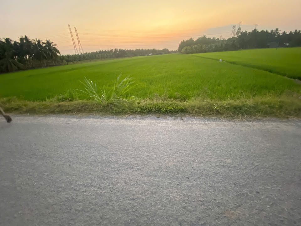 Đất ruộng 4.000m² xã Lương Hòa A, Châu Thành, Trà Vinh - Giá chỉ 1.4 tỷ VND!