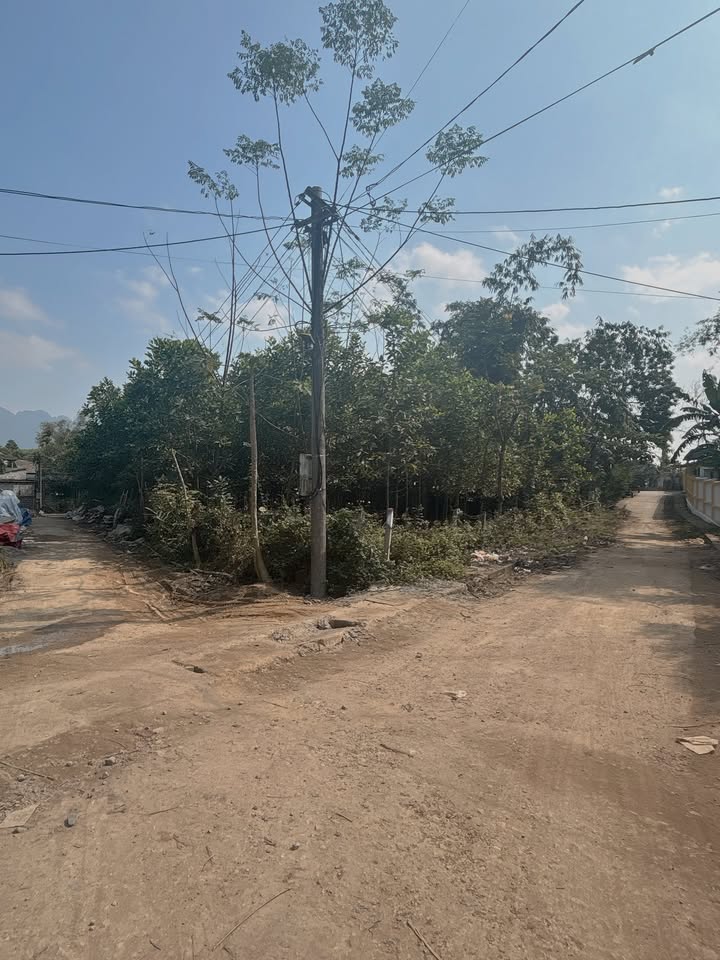 Đất nền Xóm Quê Rù, Vĩnh Đồng 771m² giá 3.084 tỷ - Lô góc 2 mặt tiền hấp dẫn!