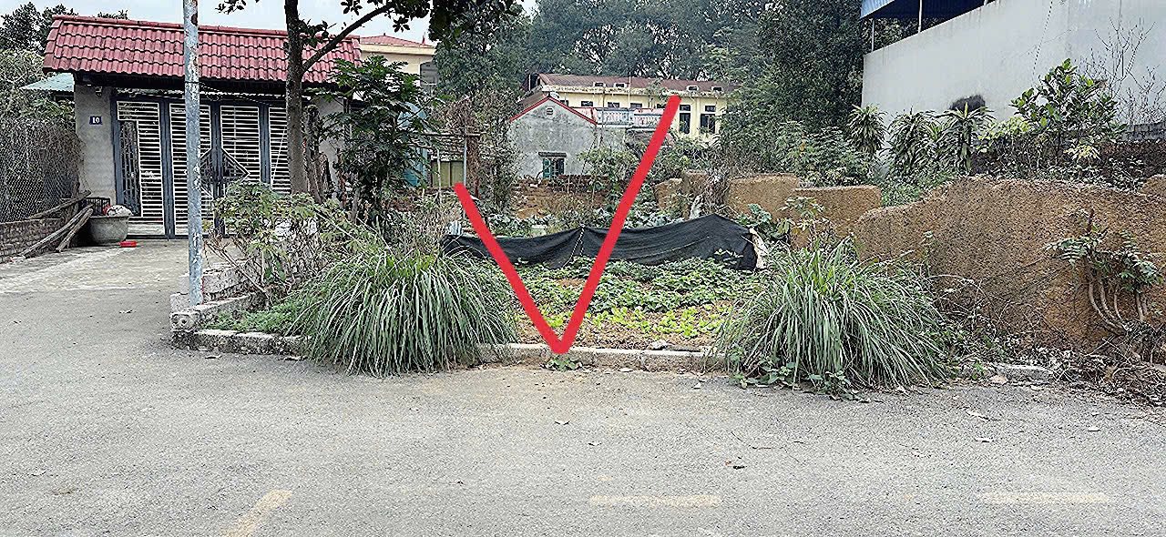 Đất nền 127m² xã Bình Yên, huyện Thạch Thất - Đầu tư tuyệt vời cho tương lai!