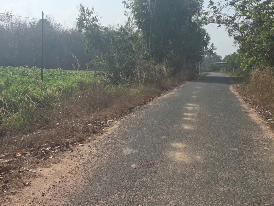 Đất nền Châu Thành Tây Ninh 1000m² giá 200 triệu - Cơ hội đầu tư tuyệt vời!