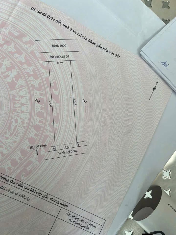 Đất cây lâu năm khu phố 5, TT Bến Lức, 555m² giá 300 triệu - Cơ hội đầu tư hấp dẫn!