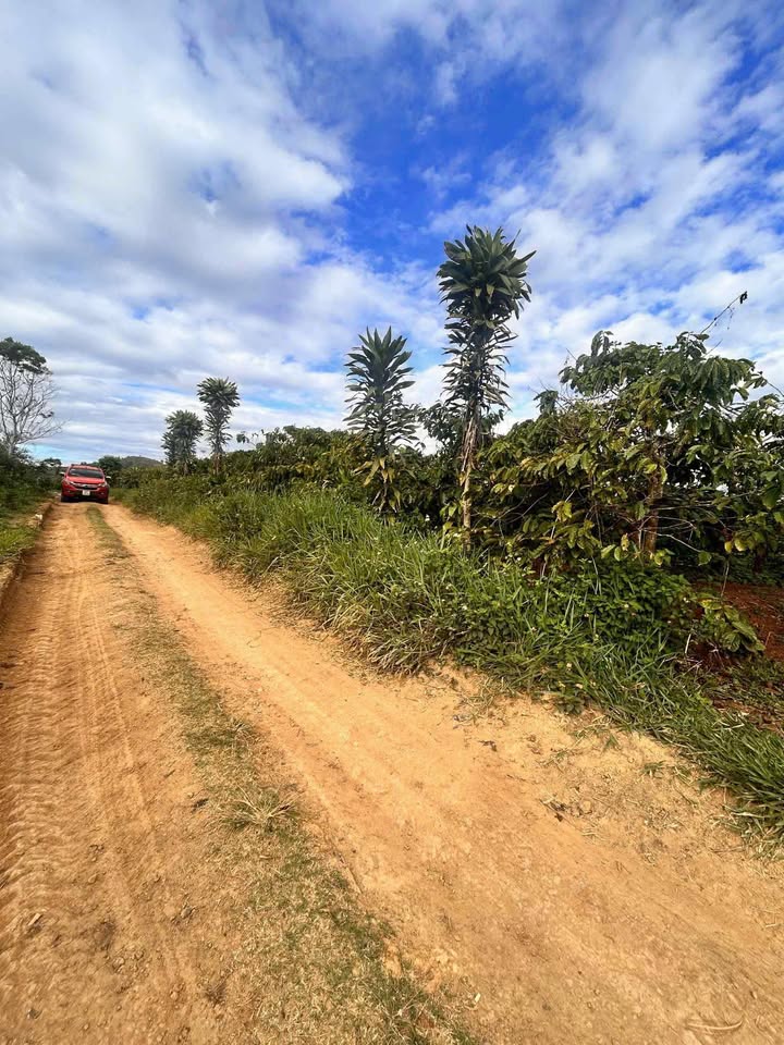 Đất nền 5760m² tại xã Đinh Lạc, Di Linh chỉ 1.55 tỷ - Đầu tư sinh lời!