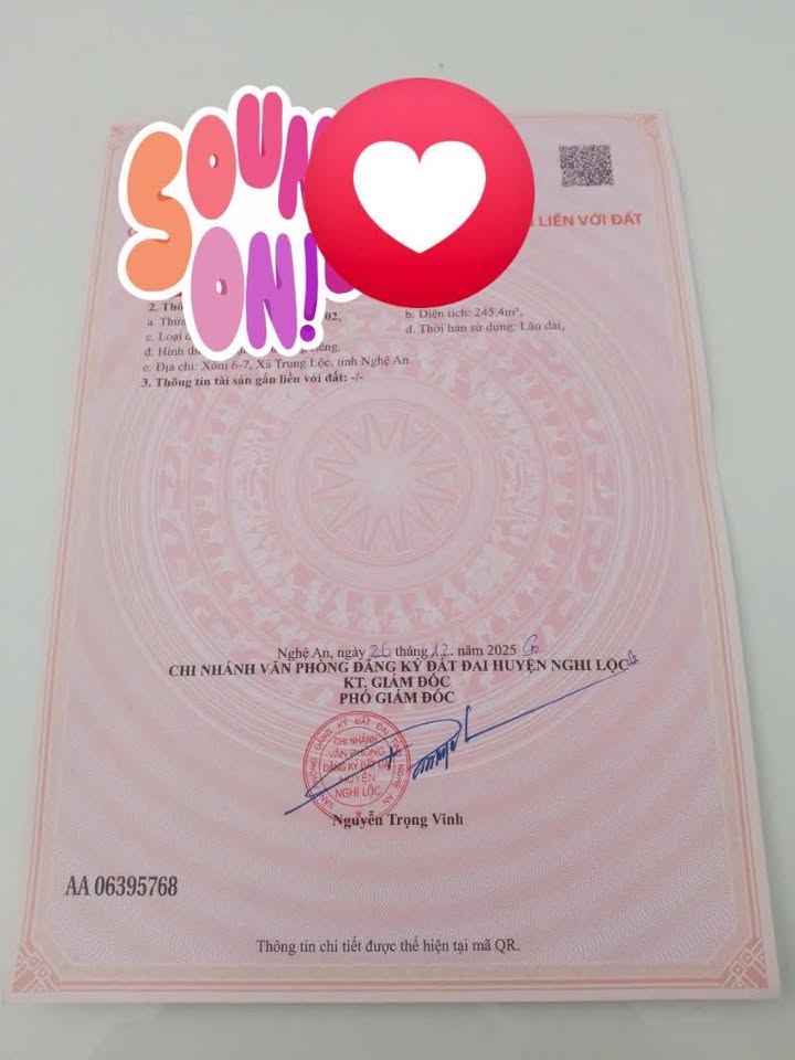 Đất nền Nghi Xá, Nghi Lộc 245m² - Bán gấp, 2 mặt tiền