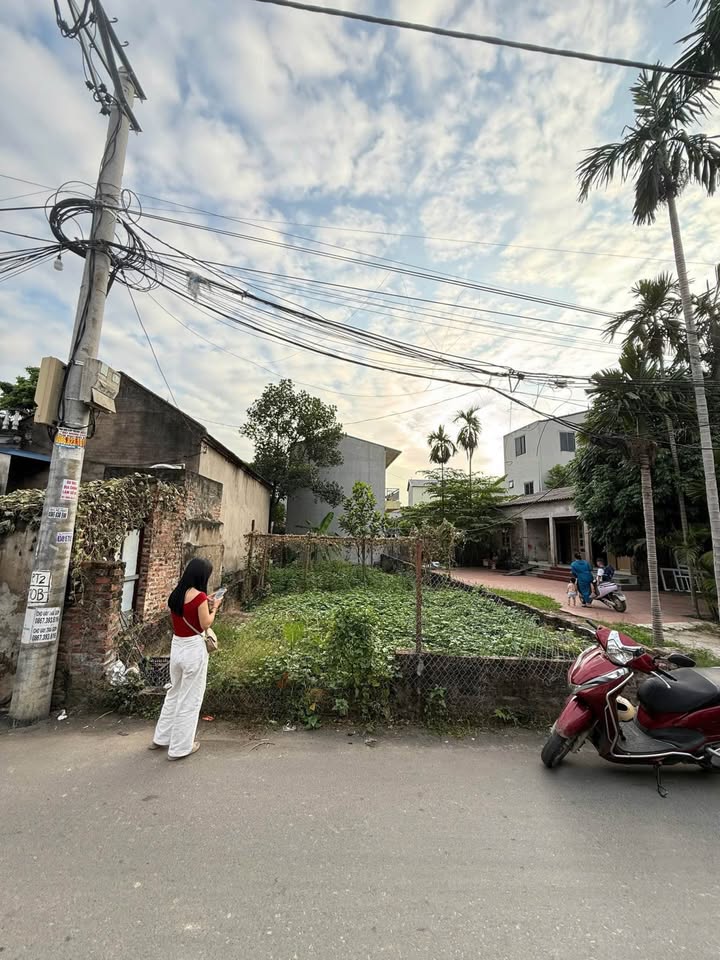 Đất nền Quang Minh - Mê Linh 120m² giá 500 triệu - Sổ đỏ chính chủ!