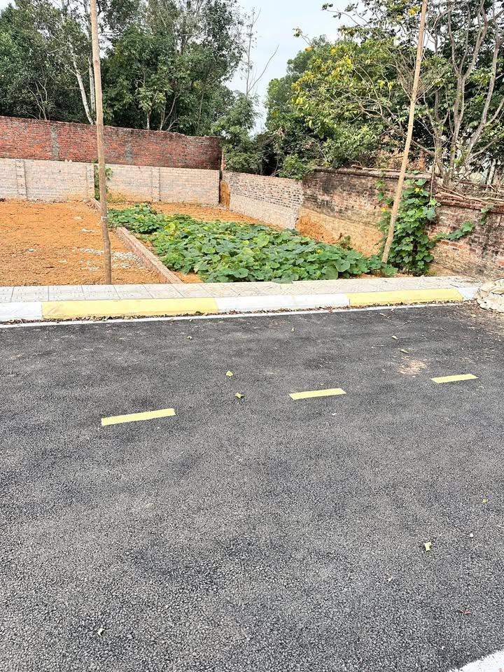 Đất thổ cư 100m² tại Quốc lộ 21, Sơn Tây chỉ 1.5 tỷ - Cơ hội đầu tư hấp dẫn!