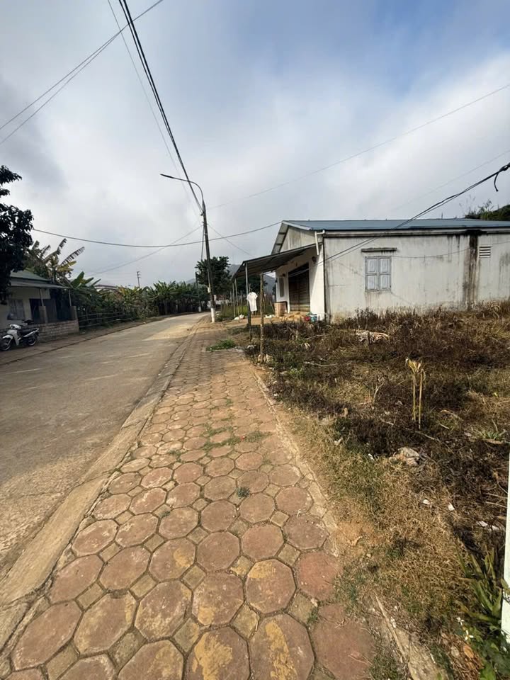 Đất thổ cư Vân Hồ 316m² giá 1 tỷ - Đầu tư sinh lời ngay!