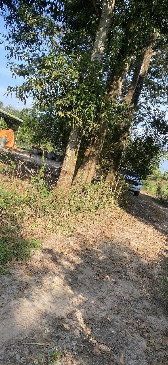 Đất nền 2.750m² tại xã Xuân Thành, Đồng Nai - Đầu tư sinh lời hấp dẫn!