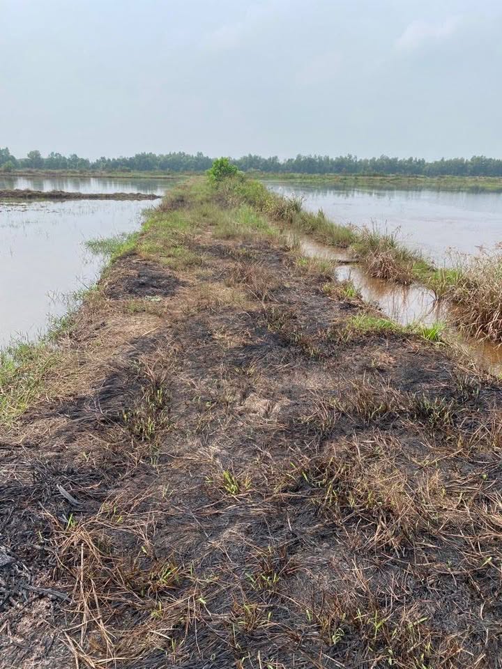 Đất Tân An Hội Củ Chi 4930m² giá 6.8 tỷ - Cơ hội đầu tư hấp dẫn!