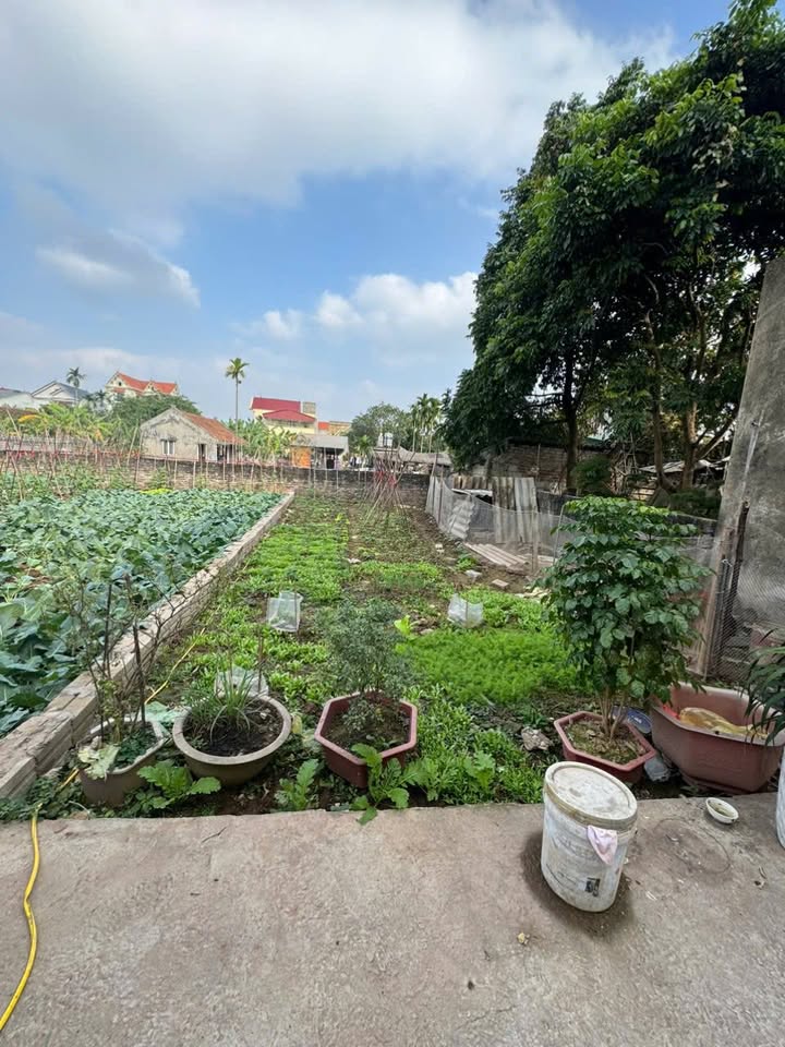 Đất nền Xóm 2, Xã Chương Dương 94m² giá 47 triệu - Kinh doanh sầm uất ngay trung tâm!