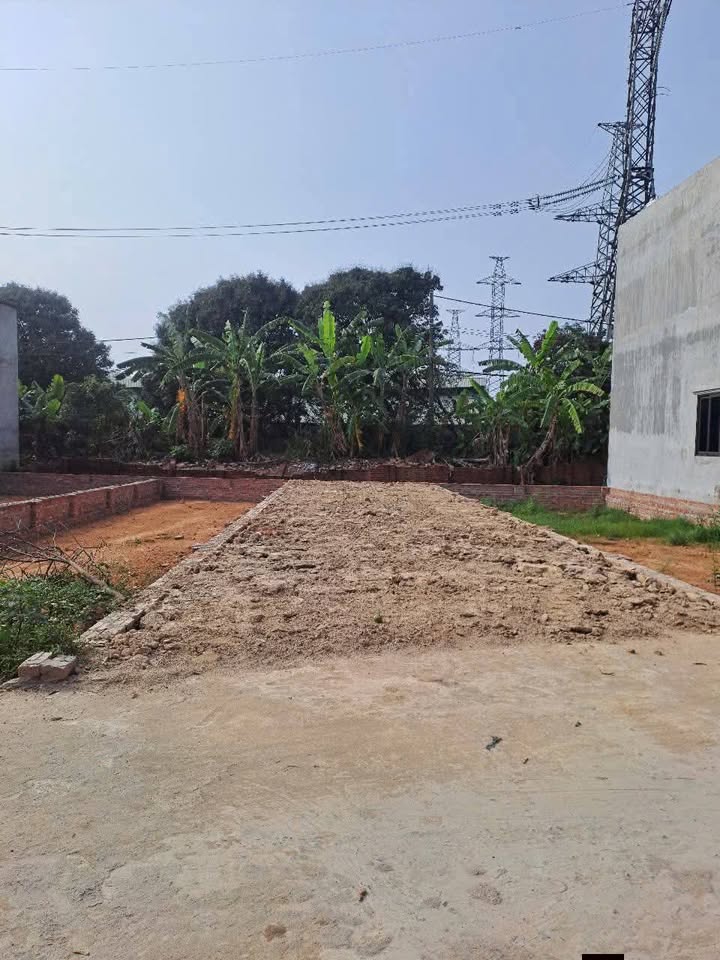 Đất nền 96m² Tân Minh, Sóc Sơn - Đường rộng ô tô tránh, cơ hội đầu tư hấp dẫn!