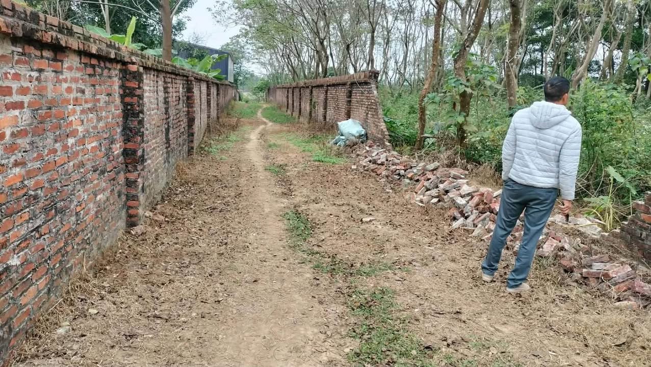 Đất đấu thầu 20 năm tại Tiên Dược, Sóc Sơn, 5000m² - Cơ hội đầu tư hấp dẫn!