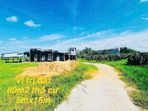 Đất thổ cư Tiến Lợi, Phan Thiết 80m² chỉ 550 triệu - Cơ hội đầu tư tuyệt vời!