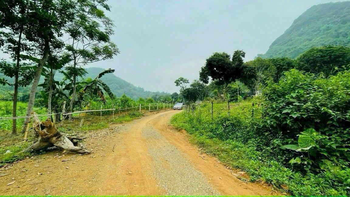 Đất thổ cư Lương Sơn 1206m² giá 2 tỷ - Vị trí view đẹp, đầu tư lý tưởng!