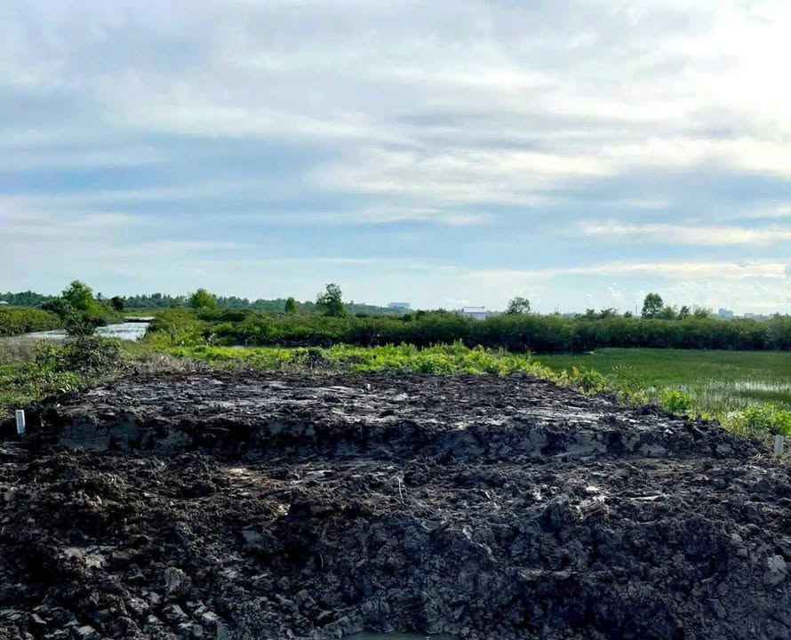 Đất mặt tiền đường Lộ Xuyên Á, Cà Mau 545m² giá 1.3 tỷ - Đầu tư sinh lời ngay!