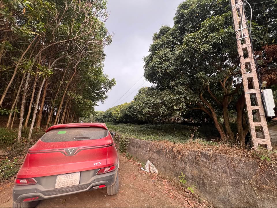 Đất Nông Nghiệp 20ha Tại Thái Nguyên - Cơ Hội Đầu Tư Tiềm Năng!